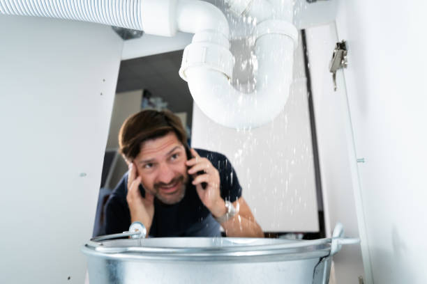 Best Affordable Plumber Near Me  in Locust Fork, AL