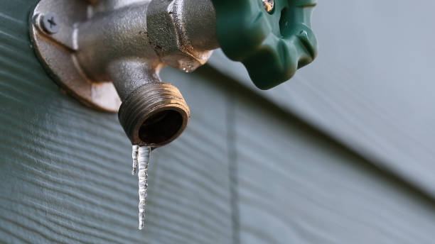 Best Shower Repair Services  in Locust Fork, AL